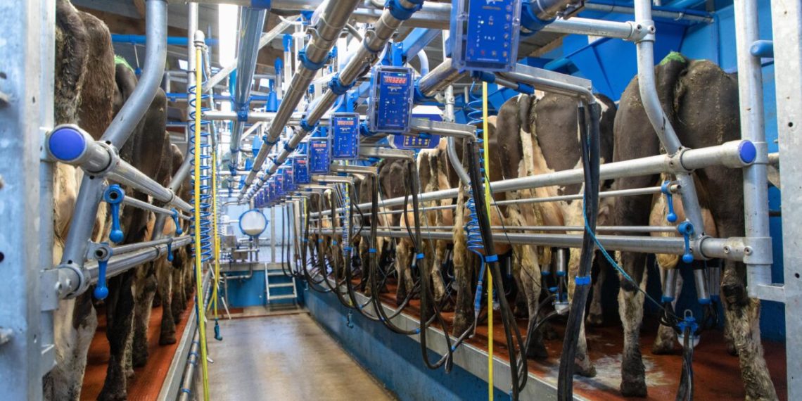 Promoting Efficiency and Hygiene in the Parlour