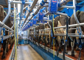 Promoting Efficiency and Hygiene in the Parlour