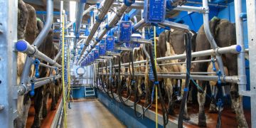Promoting Efficiency and Hygiene in the Parlour Promoting Efficiency and Hygiene in the Parlour