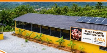 AGA Obuasi Mine invests in livelihood diversification with piggery centre AGA Obuasi Mine invests in livelihood diversification with piggery centre