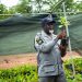 TCDA sets July deadline for certified tree crop seedlings TCDA sets July deadline for certified tree crop seedlings