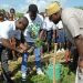 “Let’s champion environmental conservation,” Forestry Commission urges “Let’s champion environmental conservation,” Forestry Commission urges