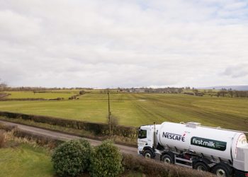 First Milk Investing £16.8m in Cheese Production in Cumbria