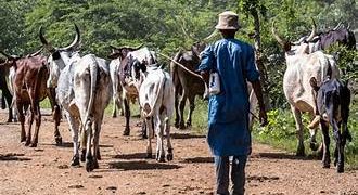Assembly Member gives Fulani herders 21-day ultimatum to vacate farmlands  