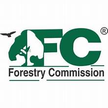 Forestry Director appeals for guards to preserve Bosoma, Buru Forest Reserves in Bono East   