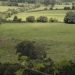 70-year Field Study finds Fertilizer Imbalance can Halve Mycorrhizal Fungi 70-year Field Study finds Fertilizer Imbalance can Halve Mycorrhizal Fungi