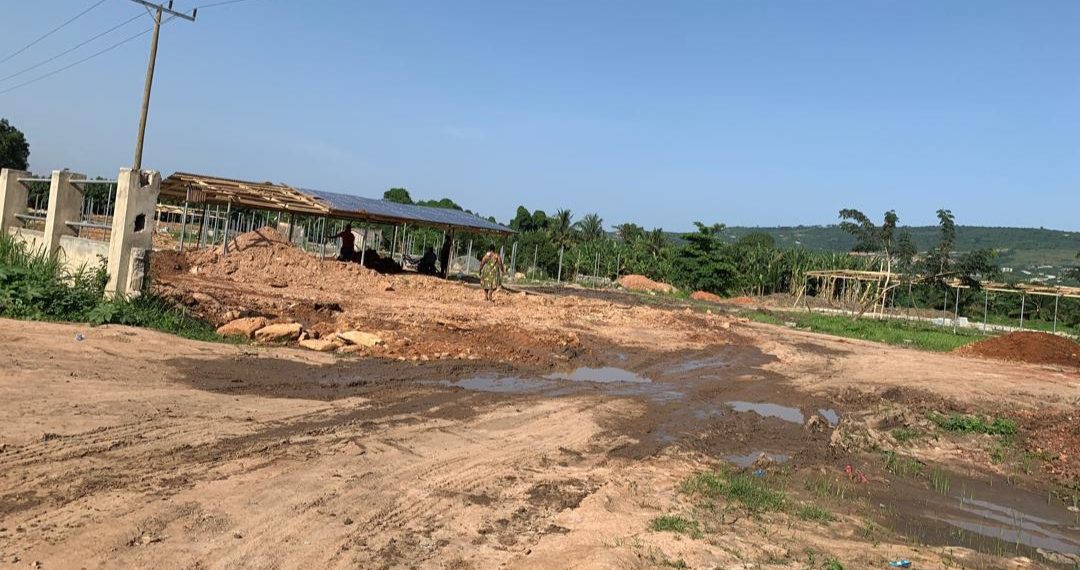 Dodowa Forest Under Siege: A 200-Year-Old legacy fights for survival  