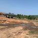 Dodowa Forest Under Siege: A 200-Year-Old legacy fights for survival  