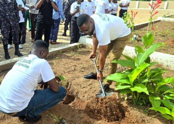EPA Tree Planting Targets Climate Risks at Akropong-Akuapem