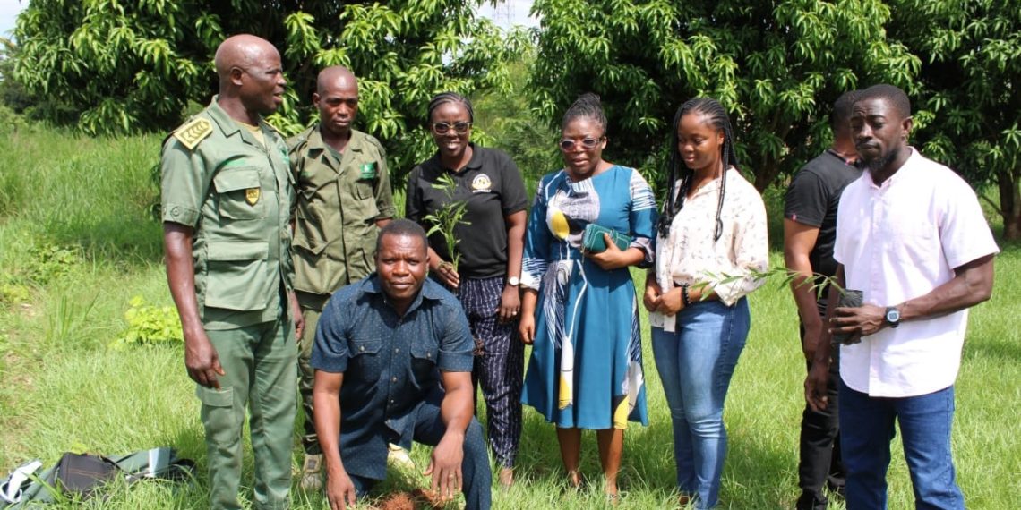 Ketu North marks Tree for Life initiative with call for environmental stewardship  