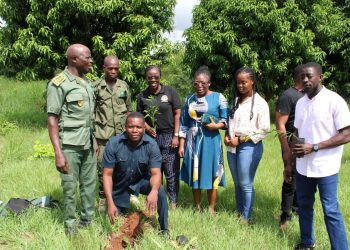 Ketu North marks Tree for Life initiative with call for environmental stewardship  