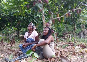 At The Table With Alberta: A 36-year-old Woman Farmer with Disability Shares her Inspiring Story in this Episode