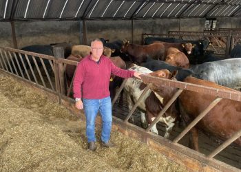 Beef Processors ‘Moved too Far and too Fast in Cutting Prices’ – UFU