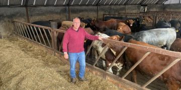 Beef Processors ‘Moved too Far and too Fast in Cutting Prices’ – UFU