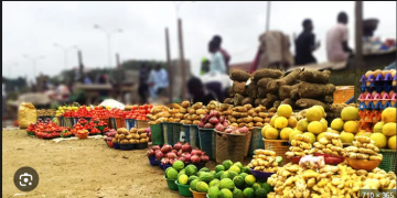 Ghana’s Food System Under Pressure as Stakeholders Gather to Chart Climate-resilient Future