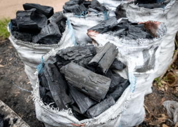 50% Increase of Charcoal is one of the Ghana’s Biggest Inflation Drive – Government Statistician