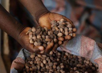 NRCC Urges Compliance with Burkinabe Laws on Export of Agricultural Commodities