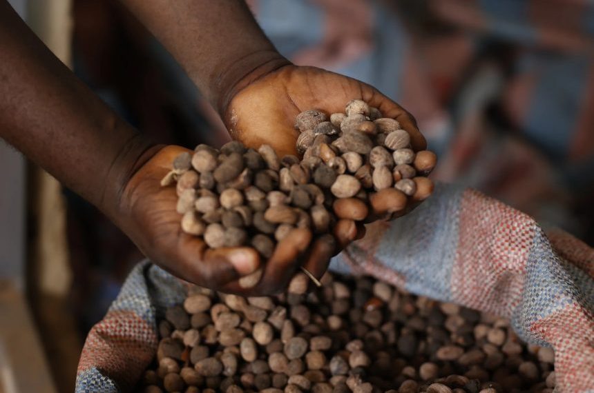 NRCC Urges Compliance with Burkinabe Laws on Export of Agricultural Commodities