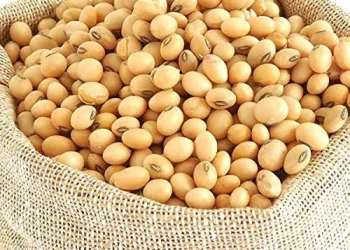 Why many Fungicide-treated Soybean Seeds may Boost Harvests But not Farm Profits
