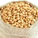 Why many Fungicide-treated Soybean Seeds may Boost Harvests But not Farm Profits