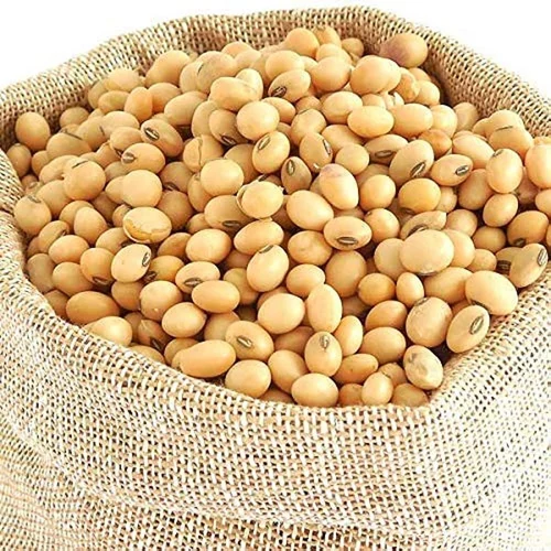 Why many Fungicide-treated Soybean Seeds may Boost Harvests But not Farm Profits Why many Fungicide-treated Soybean Seeds may Boost Harvests But not Farm Profits