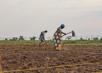 New FAO-WFP report warns worsening hunger puts 13 hotspots at significant risk