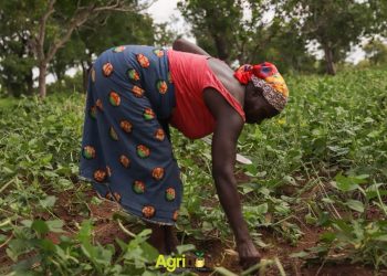“Start Small, Stay Committed, and Success Will Follow” – 63-Year-Old Farmer Encourages Youth