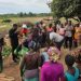 Dekpor fish ponds to return to operation after years of abandonment