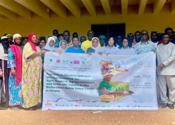 60 SMEs trained to strengthen Ghana’s biofortified maize value chain