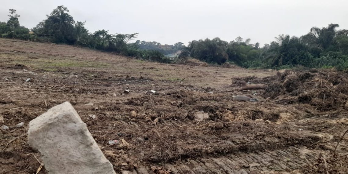 Veterinary Services Department to sue Tarkwa Municipal Assembly for encroachment Veterinary Services Department to sue Tarkwa Municipal Assembly for encroachment