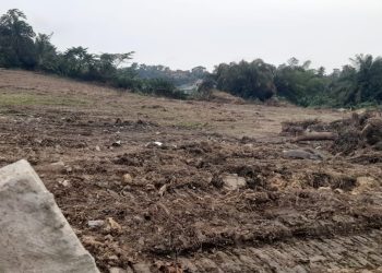 Veterinary Services Department to sue Tarkwa Municipal Assembly for encroachment