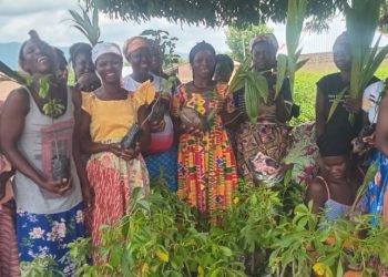 Iseguri Initiative, HTU partner to promote climate-smart agriculture in Oti 