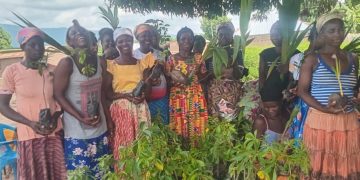 Iseguri Initiative, HTU partner to promote climate-smart agriculture in Oti 