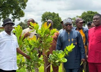 Climate Minister assesses cashew project’s contribution to climate resilience