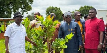Climate Minister assesses cashew project’s contribution to climate resilience