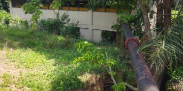 2025 Best Farmer urges revamping defunct Tanoso Irrigation Dam in Bono East   