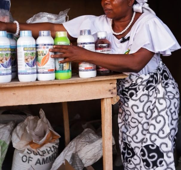 Gold in the Soil Awards Spotlight: How Rosina Ankunwanab Is Bringing Farm Inputs Closer to Women Farmers in West Gonja