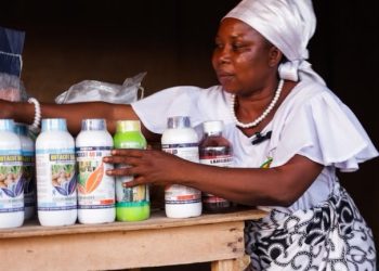 Gold in the Soil Awards Spotlight: How Rosina Ankunwanab Is Bringing Farm Inputs Closer to Women Farmers in West Gonja