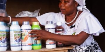 Gold in the Soil Awards Spotlight: How Rosina Ankunwanab Is Bringing Farm Inputs Closer to Women Farmers in West Gonja