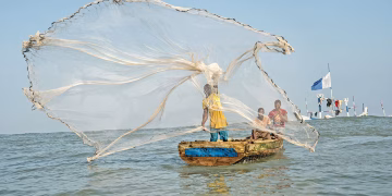 Fisheries Sector Fears Protracted Validity of EU Yellow Card