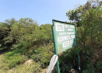 Gov’t commended over Achimota Forest Restoration