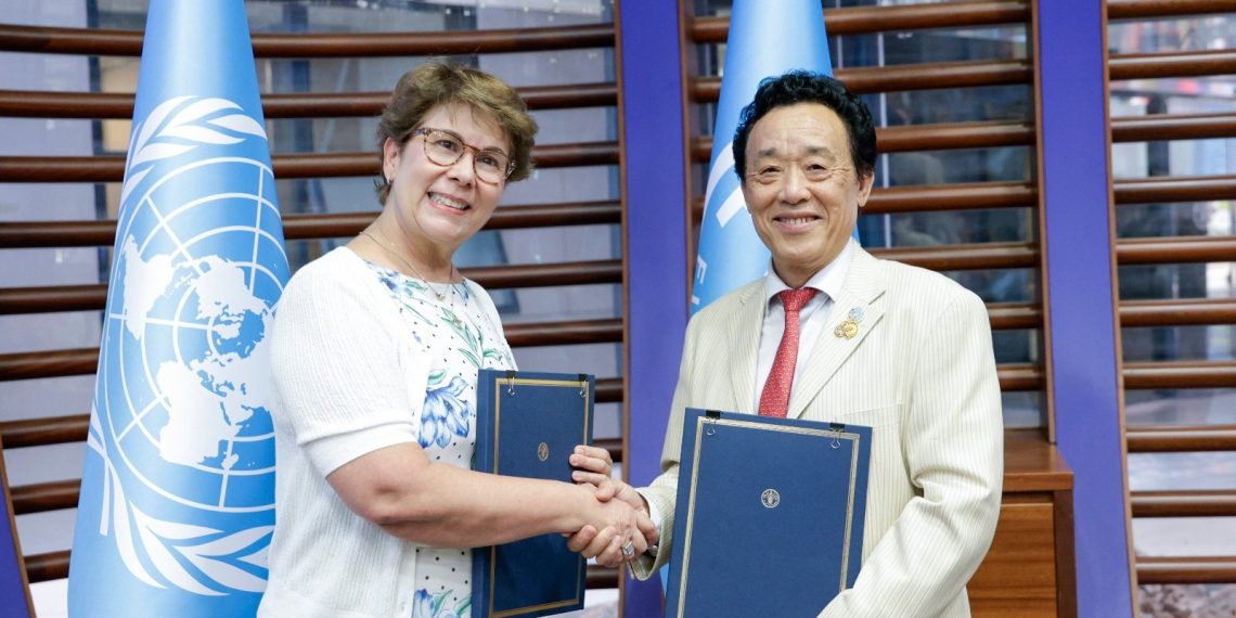 Director-General highlights renewed FAO-ICO partnership for a sustainable coffee sector Director-General highlights renewed FAO-ICO partnership for a sustainable coffee sector