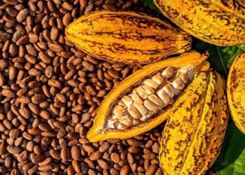 Market sees strong appetite for COCOBOD bond but pricing will be key