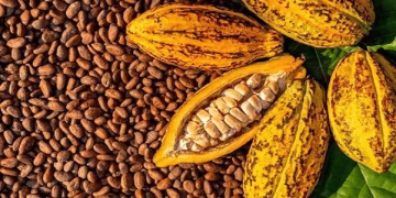 Market sees strong appetite for COCOBOD bond but pricing will be key