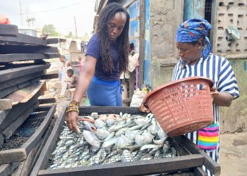 Twenty Years by the Fire: How Fish Smoker Auntie Aya is Raising Six Children through Determination and Hard Work