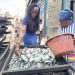 Twenty Years by the Fire: How Fish Smoker Auntie Aya is Raising Six Children through Determination and Hard Work