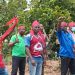 Dunkwa-Atekyem cocoa farmers seek help over alleged sale of farms