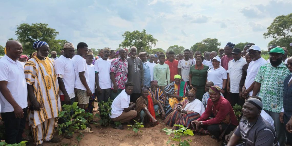 Government Moves to Revive Cotton Production in Northern Region to Feed Ghana’s Textile Industry