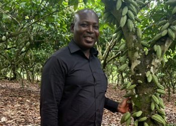 Central Regional COCOBOD Office Elevated to Directorship to Boost Cocoa Production-Agyakwa