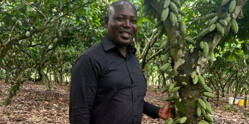 Central Regional COCOBOD Office Elevated to Directorship to Boost Cocoa Production-Agyakwa